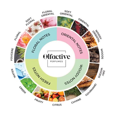 in a perfume how many olfactory notes are there|olfactive fragrance wheels.